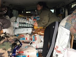 Sauv. du 04.03.2022 de 5 galgos Salamanca