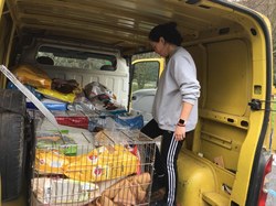 Sauv. du 04.03.2022 de 5 galgos Salamanca