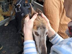 Sauv. 10 loulous Salamanca le 09.03.2023