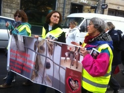 Animal's Pride le 05.11.2017 à Bordeaux