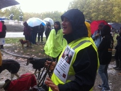 Animal's Pride le 05.11.2017 à Bordeaux