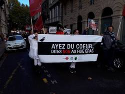 Animal's Pride le 05.11.2017 à Bordeaux