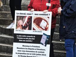 Animal's Pride le 05.11.2017 à Bordeaux