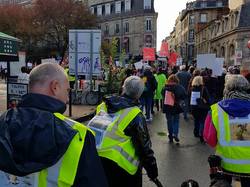 Animal's Pride le 05.11.2017 à Bordeaux