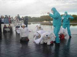 Animal's Pride le 05.11.2017 à Bordeaux