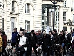 Animal's Pride le 05.11.2017 à Bordeaux