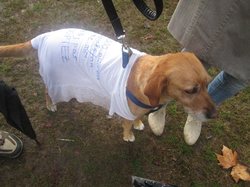 Animal's Pride le 05.11.2017 à Bordeaux