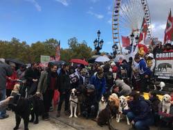 Animal's Pride le 05.11.2017 à Bordeaux