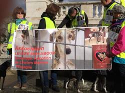 Animal's Pride le 05.11.2017 à Bordeaux