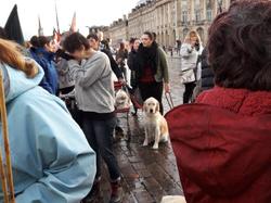 Animal's Pride le 05.11.2017 à Bordeaux