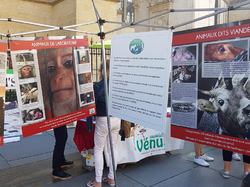 Animal's Pride le 30.09.2018 à Bordeaux