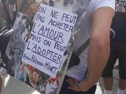 Animal's Pride le 30.09.2018 à Bordeaux