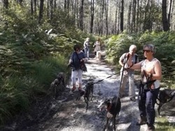 Balade sur Lanton le 11.07.2020