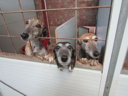 Descente nourriture Salamanca les 8 & 9.05.2024