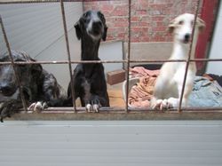 Descente nourriture Salamanca les 8 & 9.05.2024