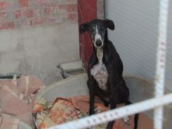 Descente nourriture Salamanca les 8 & 9.05.2024