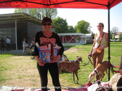 Festival du jeu St Loubes