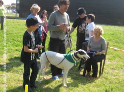 Festival du jeu St Loubes