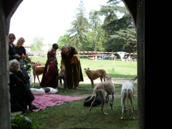 Fête de la fleur Pujols sur Ciron