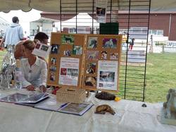 Forum des asso le 06/09/2015