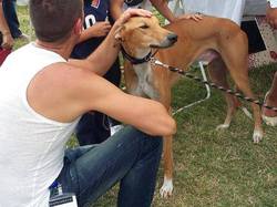 Forum des asso le 06/09/2015