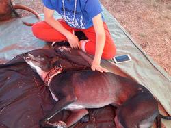 Forum des Associations à Lanton le 02.09.2018