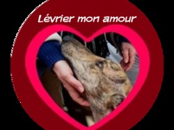 Forum des Associations le 04.09.2021