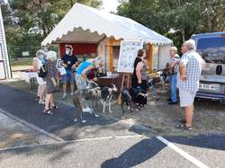 Forum des Associations le 04.09.2021