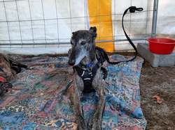 Forum des Associations le 04.09.2021