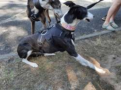 Forum des Associations le 04.09.2021