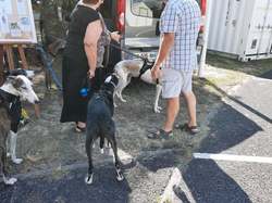 Forum des Associations le 04.09.2021