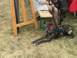 Forum des associations le 07.09.2019