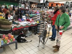 Jardiland Artigues les 26 & 27.11.2022