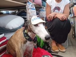 Jardiland Artigues les 3 & 4.09.2022