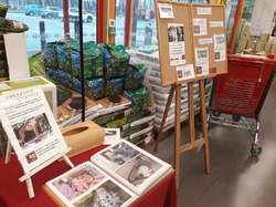 Journée Croquettes à Audenge le 09.02.2019