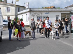Journée des adoptants du 19.06.2016