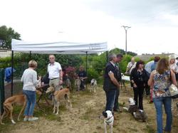 Journée des adoptants du 19.06.2016