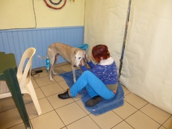 Journée des animaux à Lafitte sur Lot     le 22.05.2016