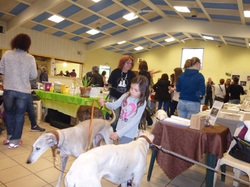 Journée des animaux à Lafitte sur Lot     le 22.05.2016