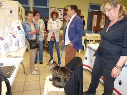 Journée des animaux à Lafitte sur Lot     le 22.05.2016