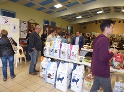 Journée des animaux à Lafitte sur Lot     le 22.05.2016