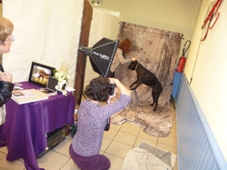 Journée des animaux à Lafitte sur Lot     le 22.05.2016