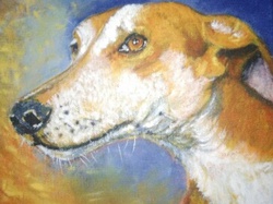 Journée des animaux à Lafitte sur Lot     le 22.05.2016