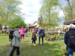 Journée Jardins sur Ciron 2015