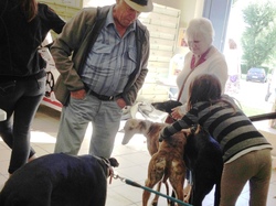 Journée Lafitte sur Lot le 21.05.2017