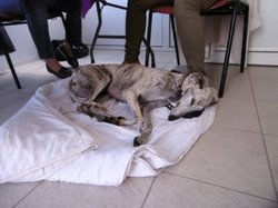 Journée rencontre du 25.06.2017