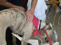 Journée rencontre du 25.06.2017