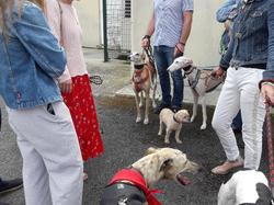 Journée rencontre du 9 Juin 2019