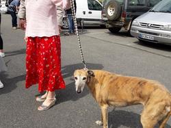 Journée rencontre du 9 Juin 2019