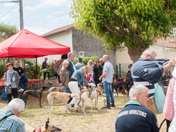 Journée rencontre du 9 Juin 2019